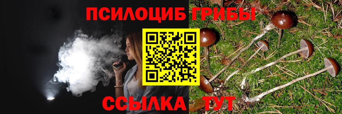 Кирово-Чепецк  Псилоцибиновые грибы GOLDEN TEACHER  где можно купить   Вход с VPN  Галлюциногенные грибы ЛСД 
